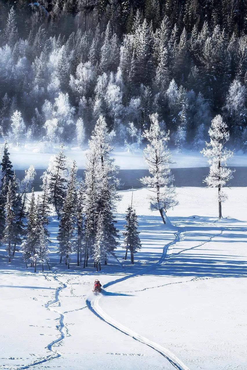 喀纳斯正在下雪.你愿意和我一起去新疆北部吗?