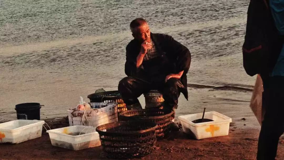 这一路上,晒太阳的猫,流浪的歌手,卖鱼的老人,便利店的老板,打鱼的