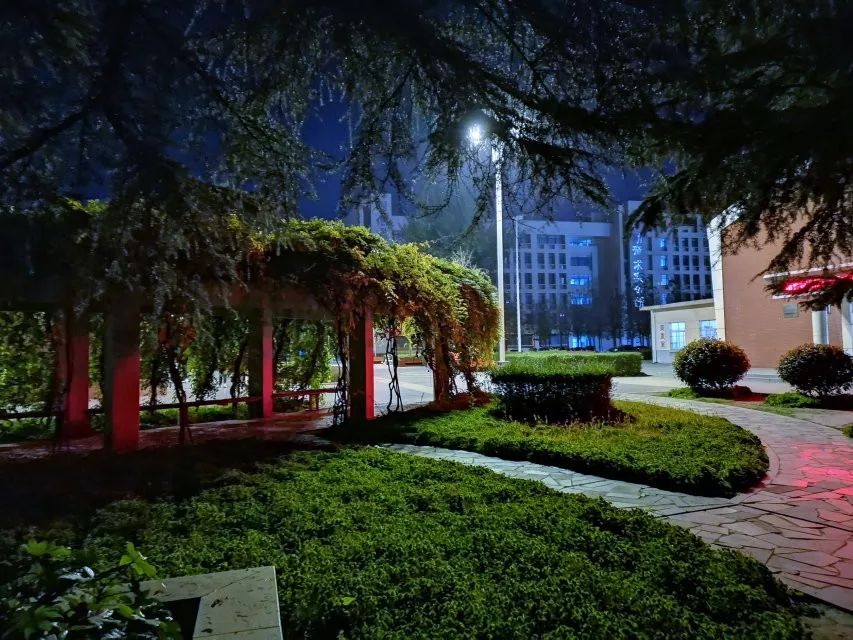 醉美杨职杨职的夜静如影柔如丝