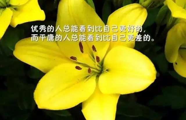 沒有誰必須要幫助你,任何事情都得靠自己去完成,不努力去哪找一個心甘