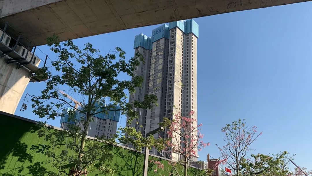 3335万平刚刚增城第一高楼保利335开盘