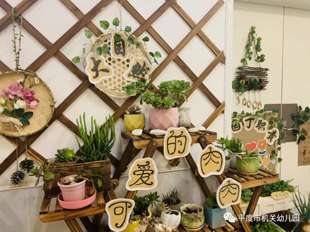 绿意冬日机关幼儿园生态式走廊带孩子种出一抹绿色