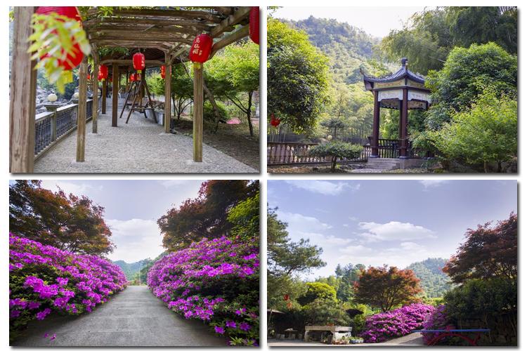 回归自然的精神家园——安吉乾龙山庄