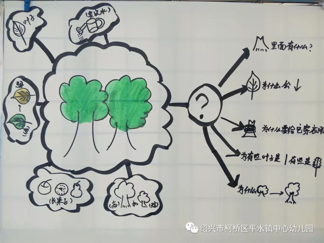 树叶的主题活动网络图图片