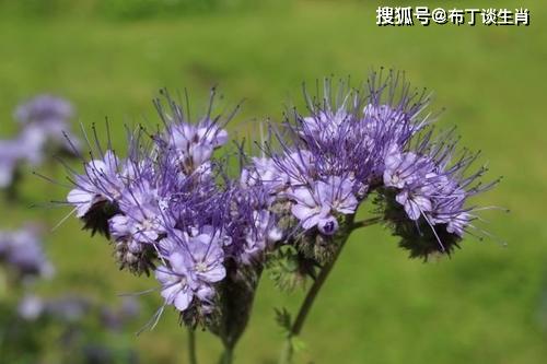 11月25號開始運勢鵬程萬裡，四生肖財運一路飆升，財富旺盛事事如願！ 星座 第3張