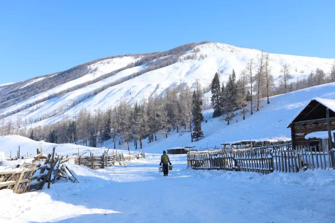 喀纳斯正在下雪.你愿意和我一起去新疆北部吗?