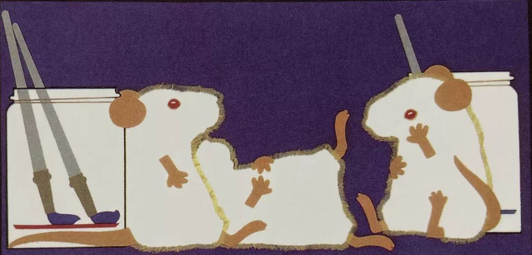 长颈鹿美语小小朗读者mousepaint