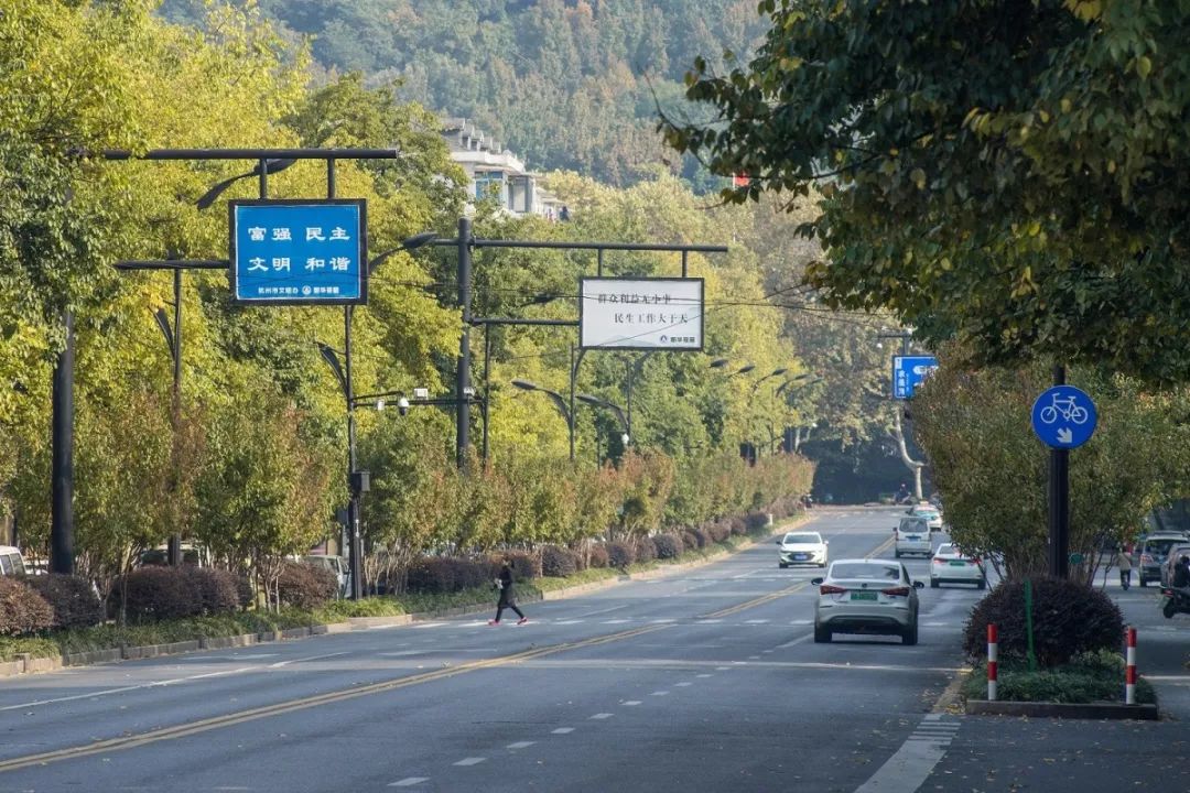 柯伟 摄74紫荆花路▲柯伟 摄沙朴观赏点:江虹路(滨兴路~滨康路)