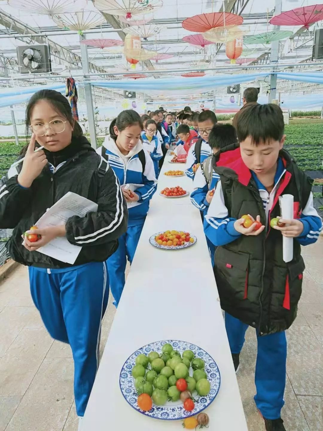 莱西市店埠镇朴木小学图片