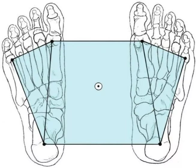 脚掌,如何汲取大地的能量