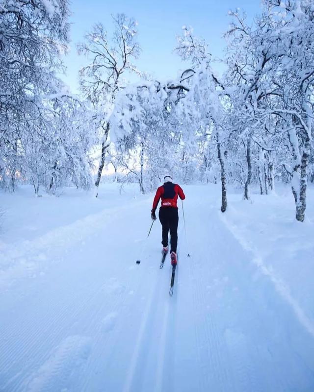 今日小雪而挪威已大雪紛飛