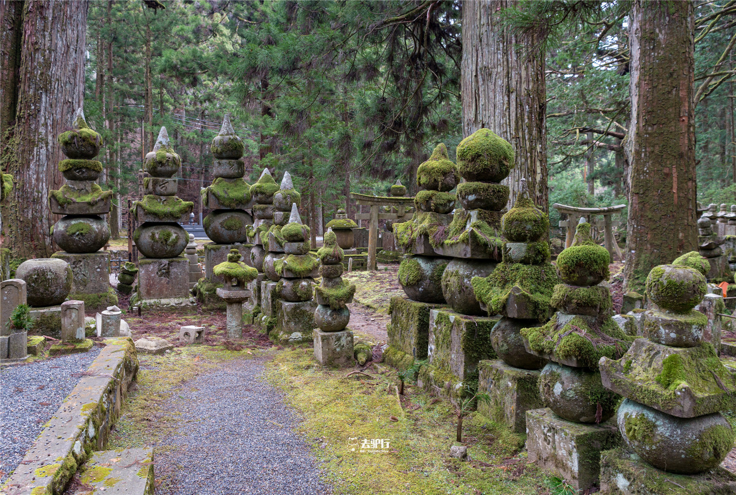 原创日本最大的墓地迄今已有1200年葬着20多万人等待复活