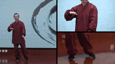 "迈步如猫行"之浅识_太极拳