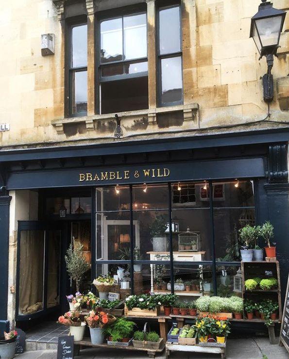 据说所有的姑娘都梦想可以开一个属于自己的花店