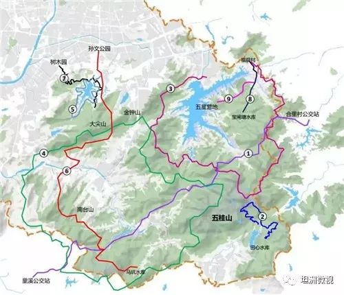 不同主题的徒步登山路径,包括树木园,金钟水库,五星营地,田心森林公园