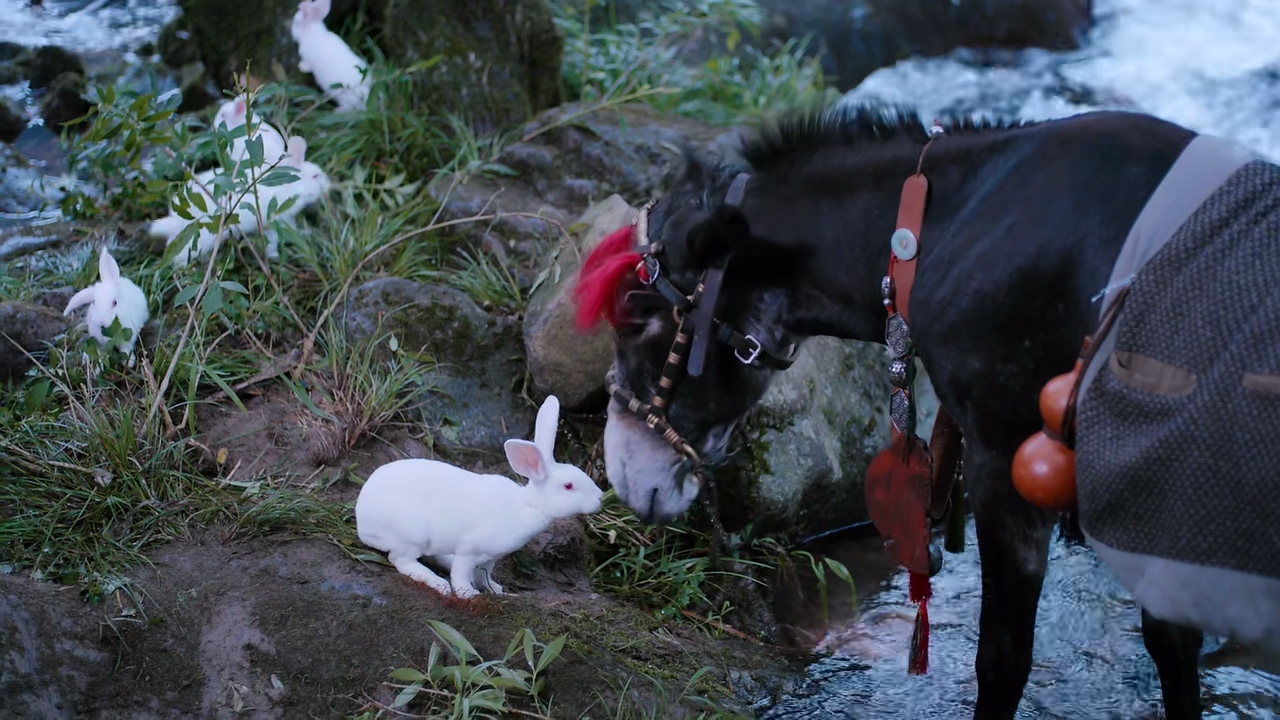 原创小苹果亲兔子魏无羡若无其事看蓝湛蓝二哥哥却害羞了