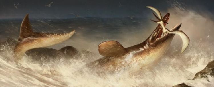 原创距今7000万年的海王龙化石被发现壮观众人惊叹