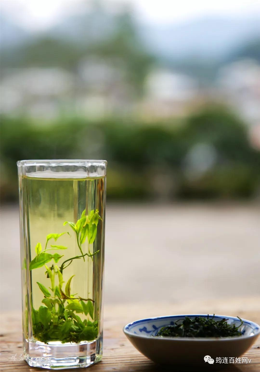 借鉴绿茶制作工艺,从绿茶采摘加工中得到启示,选用木樨科粗壮女贞树