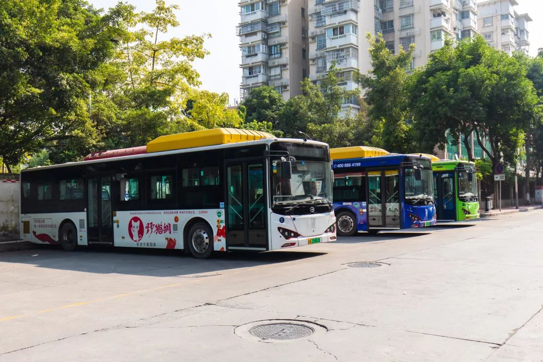 长湴,一个被遗忘的美食天堂!_城中