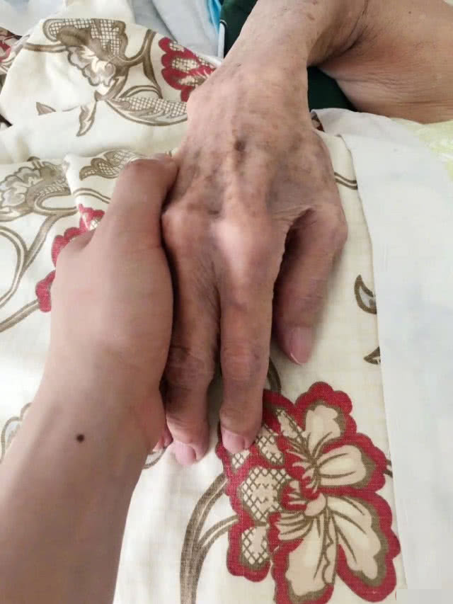 杨紫同时晒出了儿时与奶奶牵手以及今日与奶奶牵手的照片,并且两张