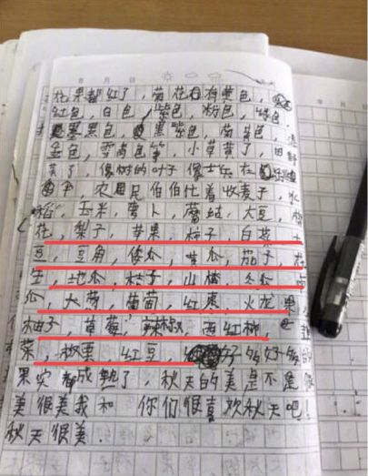 小学生的"记仇本"火了,网友笑喷:大佬得罪不起