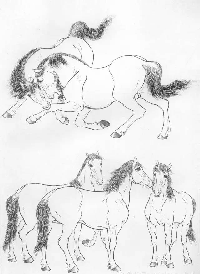 马的画法 全身图片