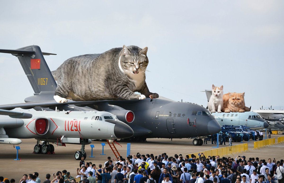 网民p图无敌巨猫凌驾各式军事武器之上霸气外漏