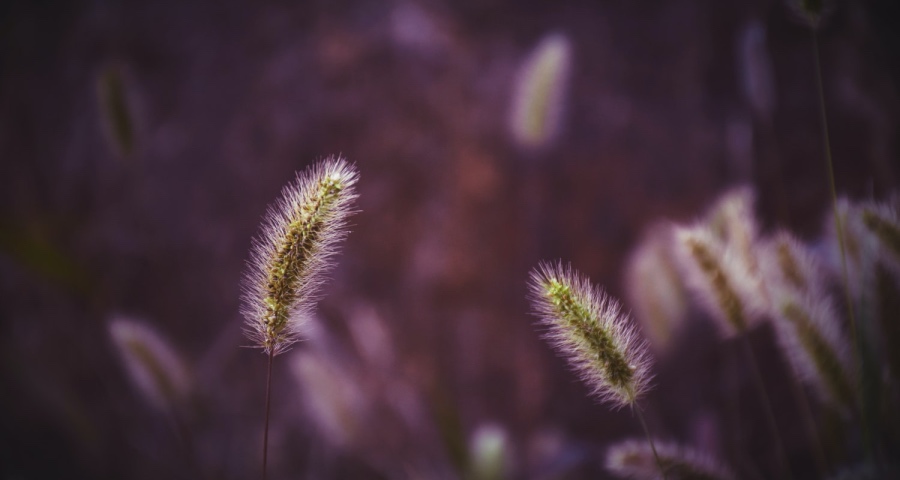 美的格力海信索尼家电抢市忙，华为小米家居赛跑，松下奥马退潮快-家电圈官网