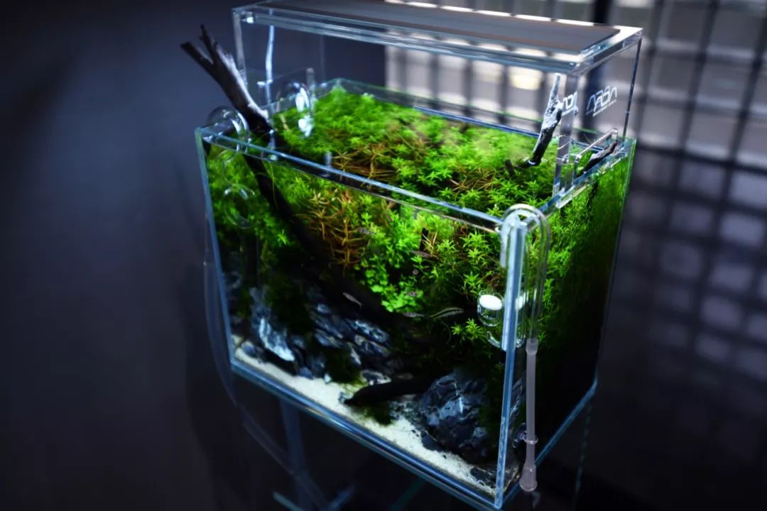 36*22*26水景(2)▼水族套装30 (1)▼水族套装30 (2)▼20*20*20悬浮缸