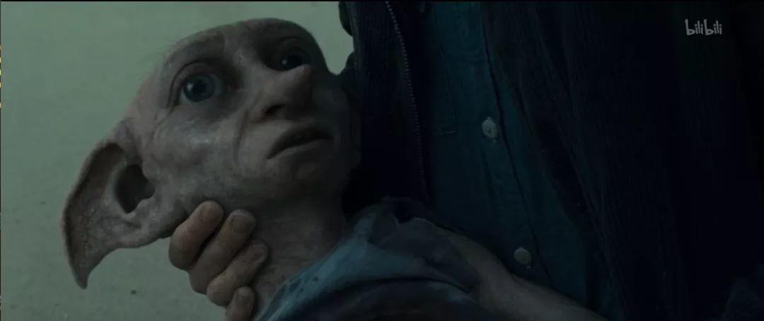 但在sir看——多比之死,才是哈利真正的成人式.