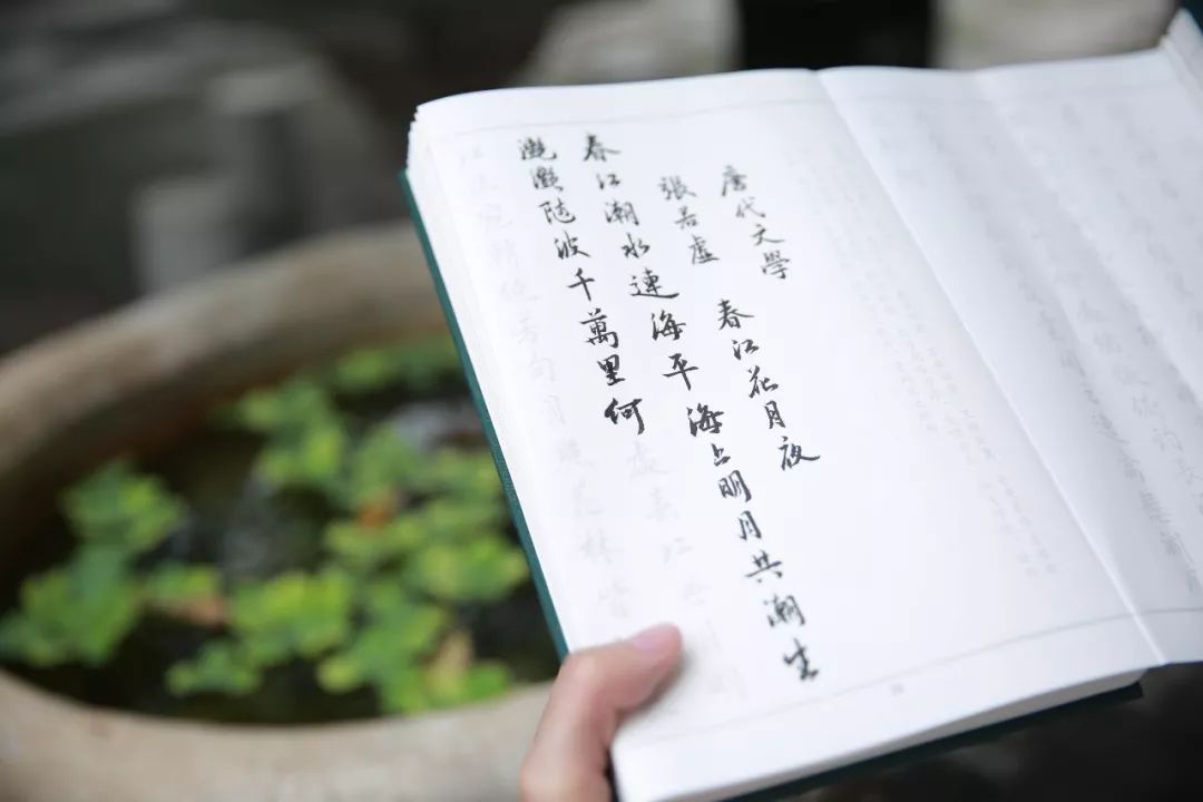 里,藏着你的气质内文字体邀请书法家李放鸣先生,专为书帖书写软笔行楷