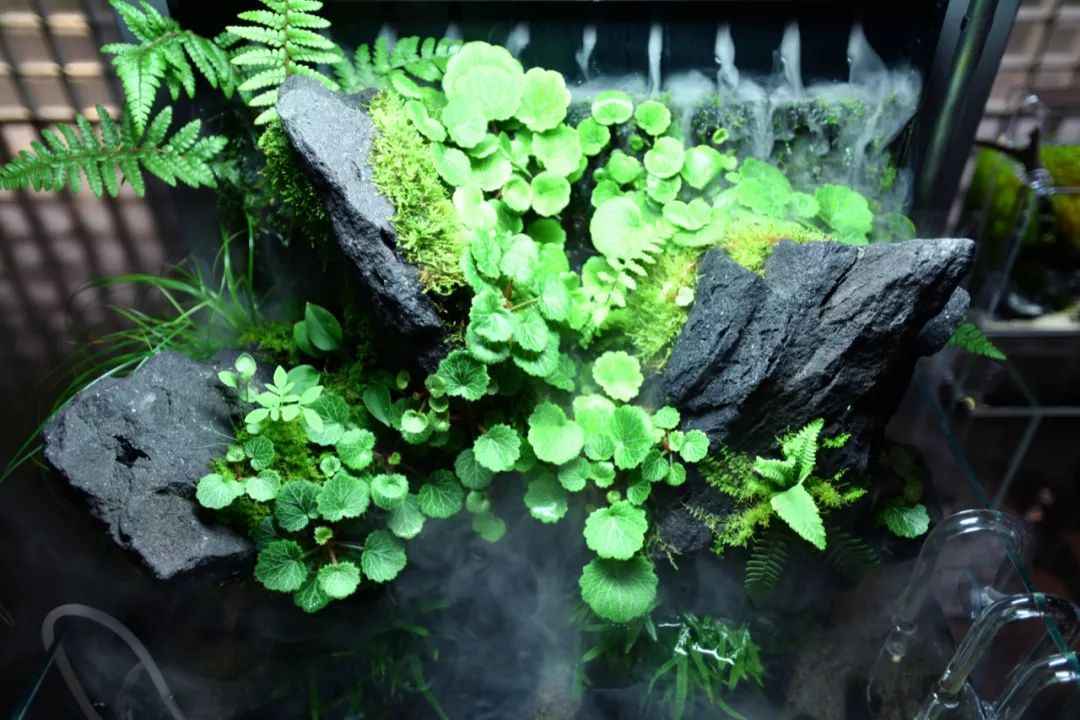 ada总部展厅水陆小型水景超海量高清图独家呈现