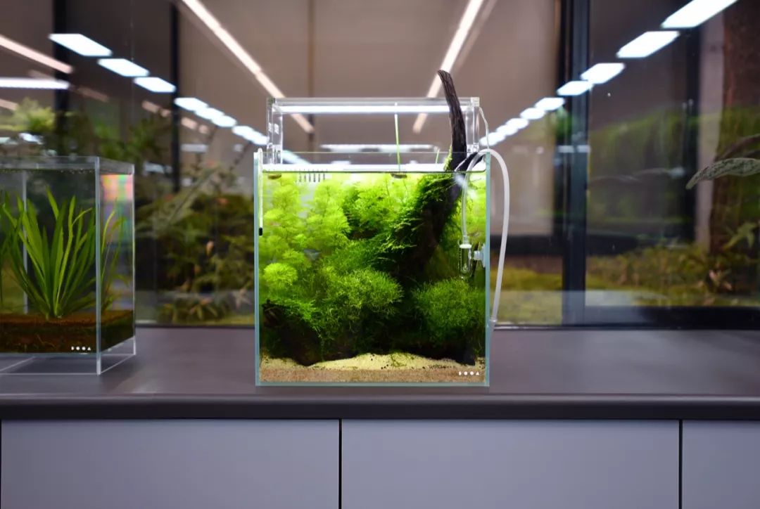 20*20*20悬浮缸▼