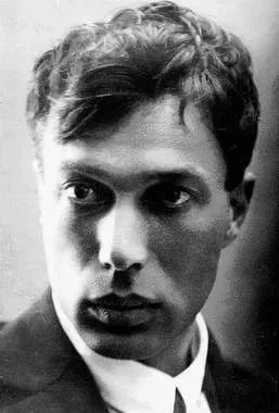 根据国内最早译《日瓦戈医生》的译者之一,蓝英年先生所言,他手头保存