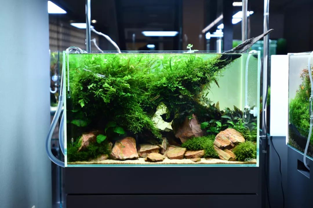 ada总部展厅水陆小型水景超海量高清图独家呈现