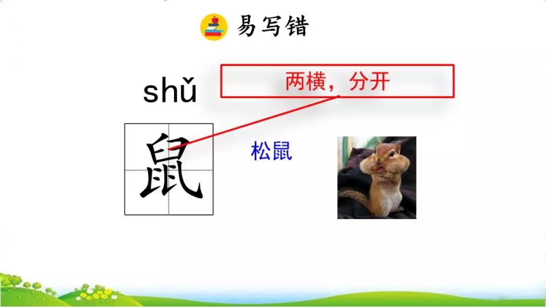 部编版五年级语文上册第16课松鼠知识点图文解读