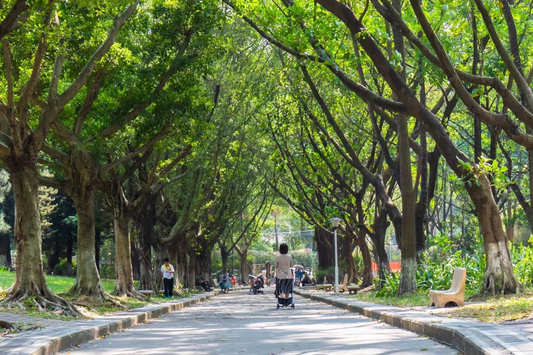 长湴公园则是大公园,绿化覆盖率广,地方大,是村民们运动,打球,跳广场