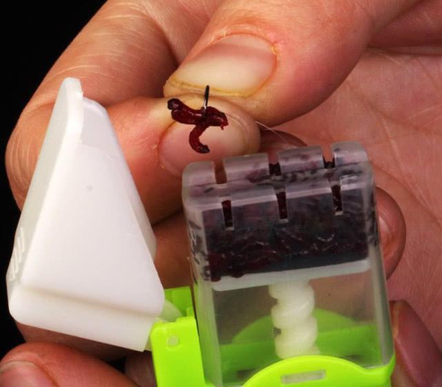 辟谣用红虫钓鱼会污染水质还传播红虫病真相另有隐情