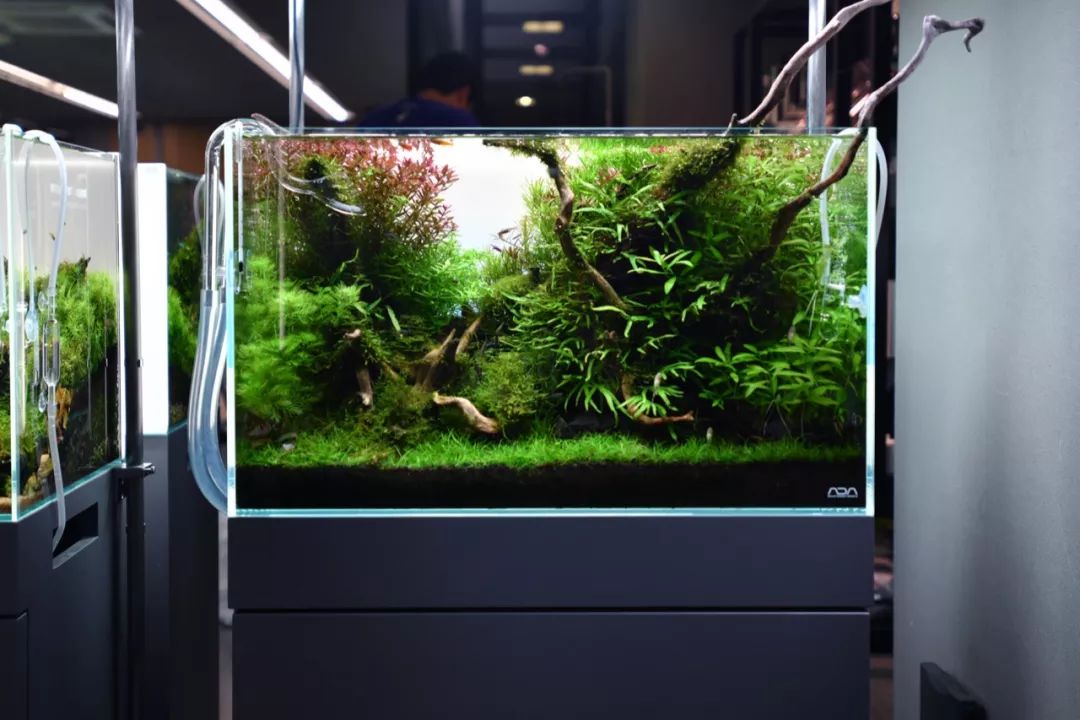 ada总部展厅水陆小型水景超海量高清图独家呈现