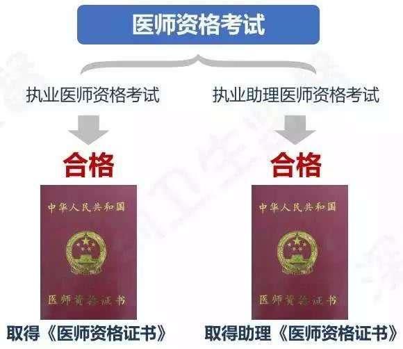 专业仅"二字"之差,决定你未来是医师还是技师_医学