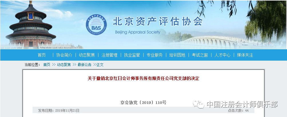 审计报告：企业的健康“体检”单