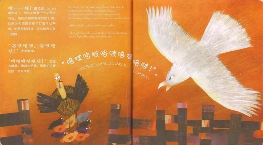 西瓜哥哥讲故事丨火鸡图图的故事