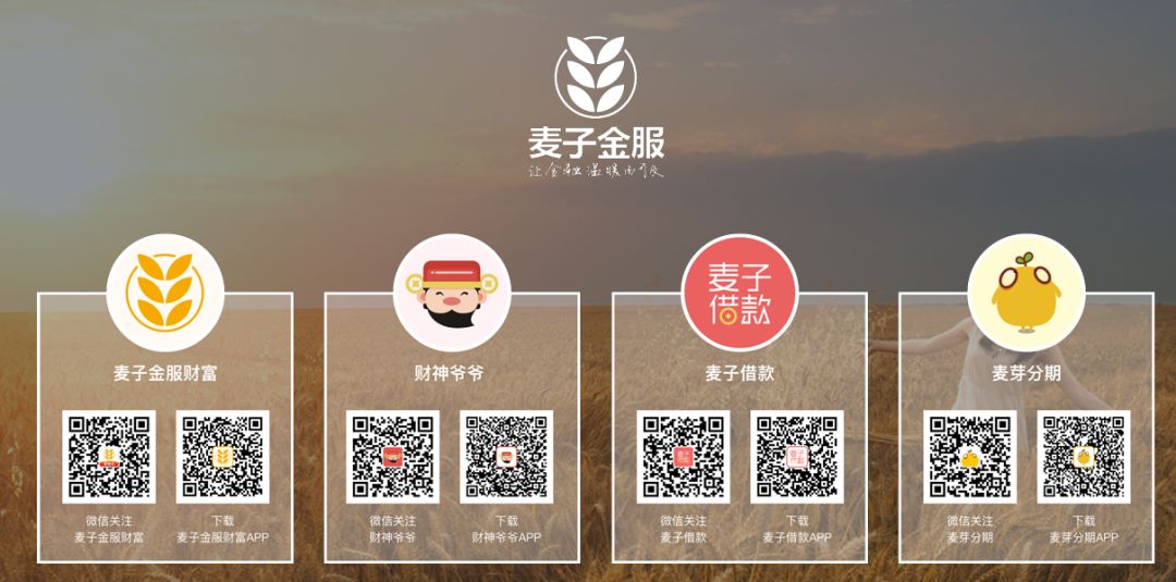 麦子金服官网显示,麦子金服运营主体是上海诺诺镑客金融信息服务有限