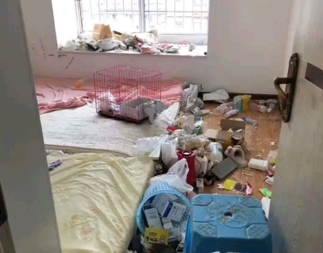 原创宿舍有臭虫怎么彻底消灭为网友的智慧点赞