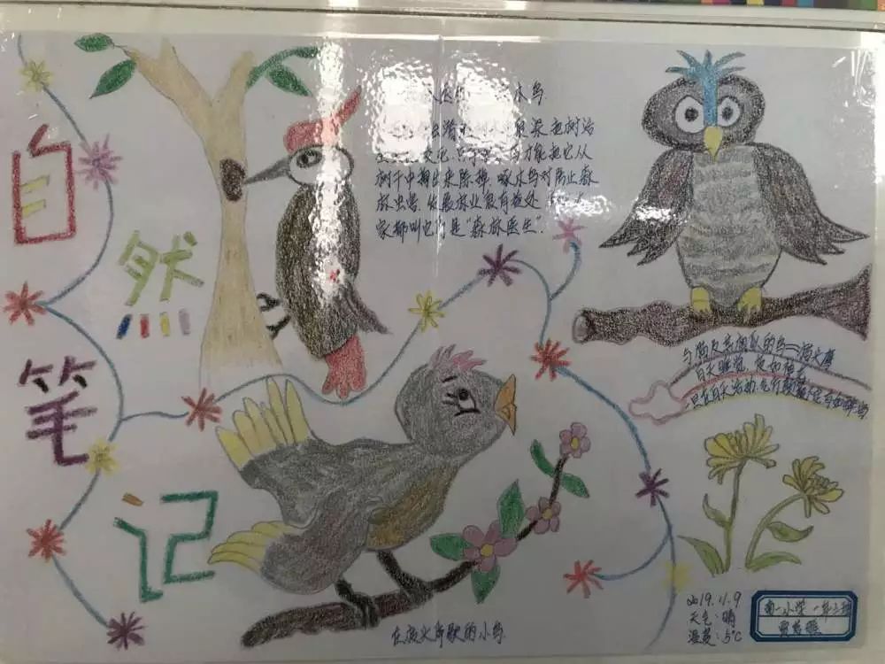 南一小学"科技筑梦 创新成长"——科技节系列活动之"大自然的秘密"