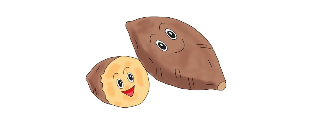 寒冬里的美味烤红薯,到底是不是健康食品?