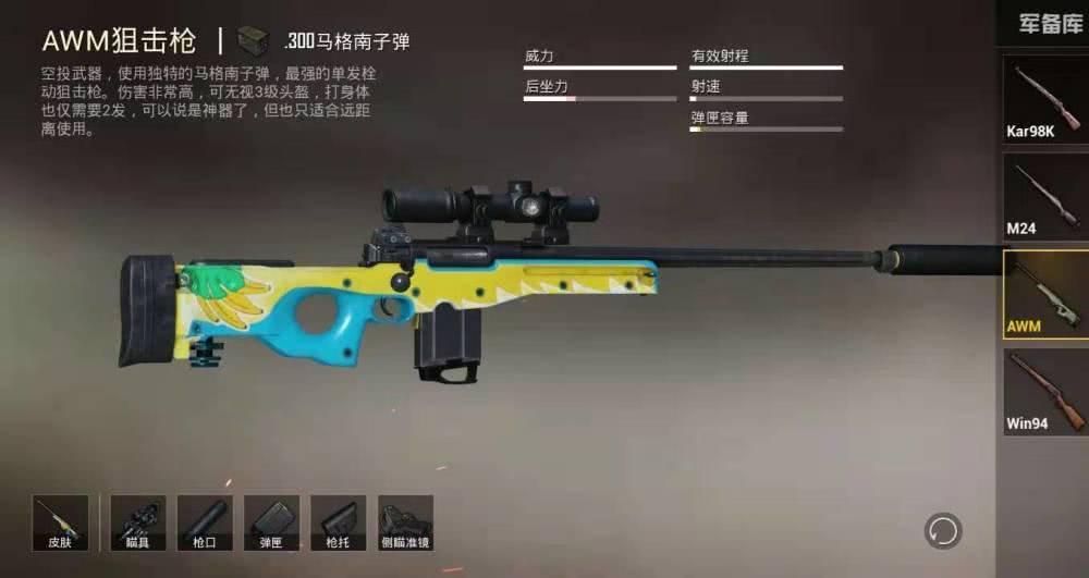 和平精英:地图中最罕见的四把枪,awm上榜,最后一把零伤害!