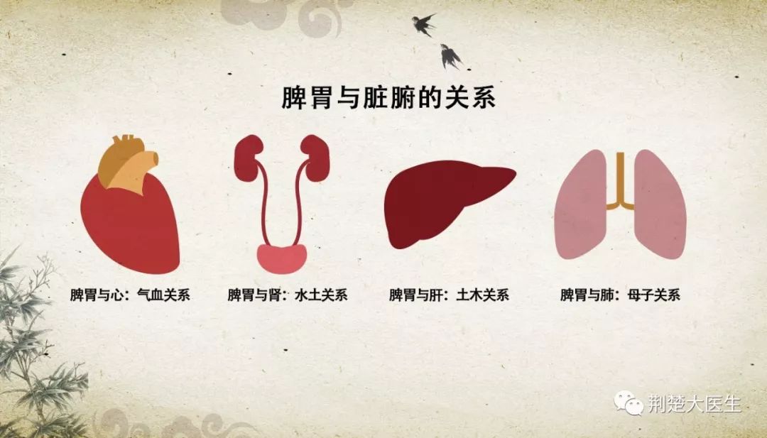 脾胃不好膏方来调冬季进补正当时
