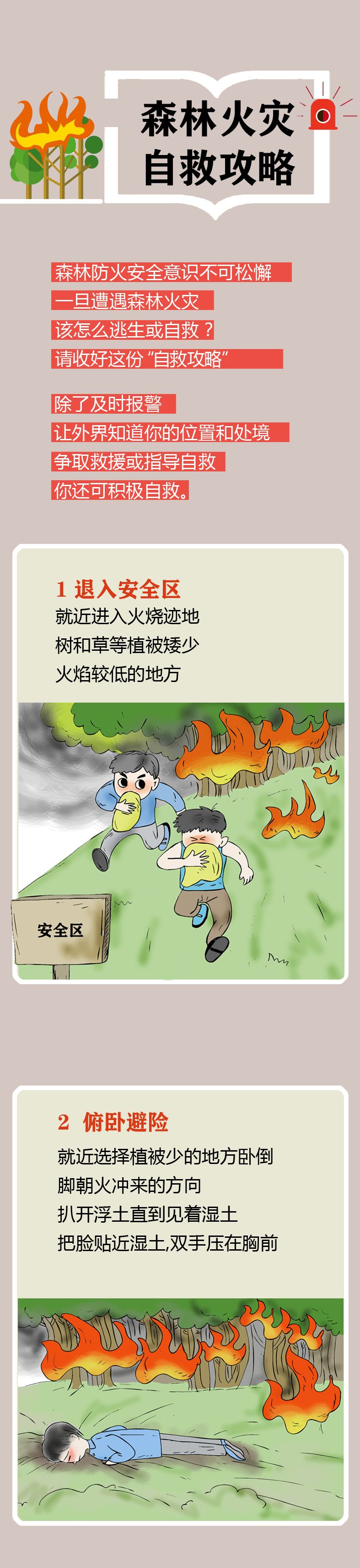 一图读懂│遭遇森林火灾怎么办?手绘自救攻略来了!快收藏