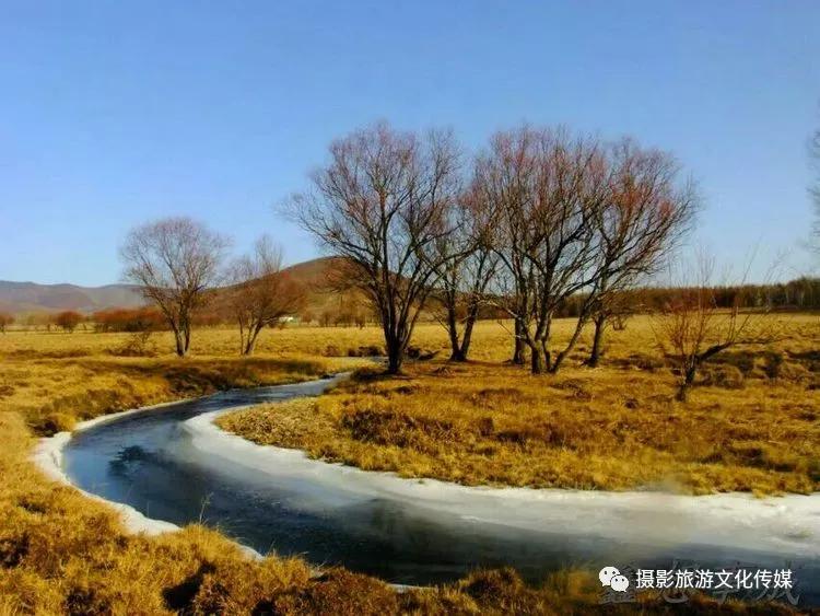冬天就来博克图这里有呼伦贝尔最纯美的冬